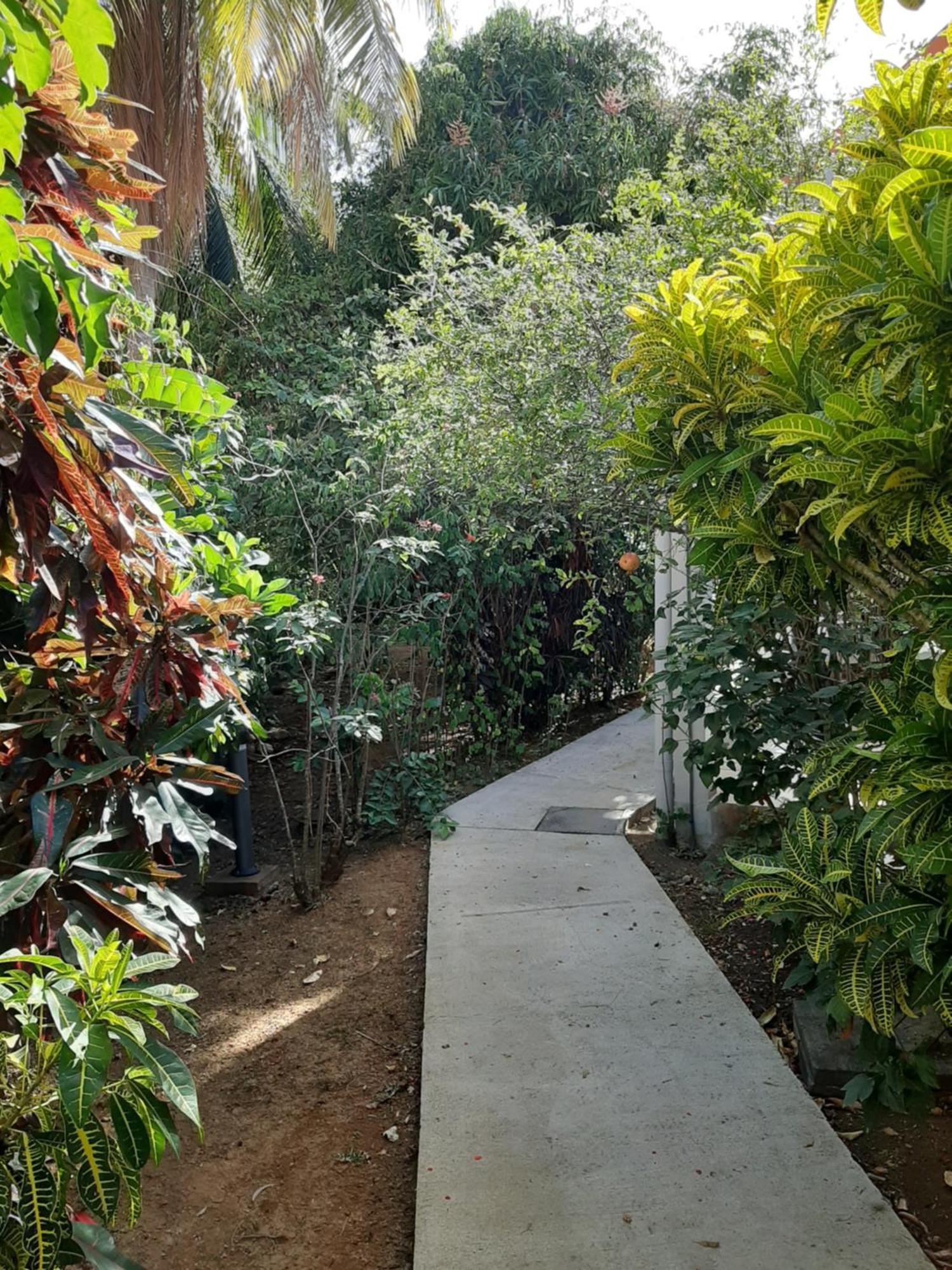 Residence Mon Refuge Grande Anse Exterior foto